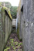 Ligne Maginot - DALHUNDEN EST - (PC de Sous-Quartier) - La tranchée d'accès au blockhaus