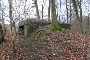 Ligne Maginot - AM SOUFFLENHEIMER Sud (Blockhaus pour canon) - 