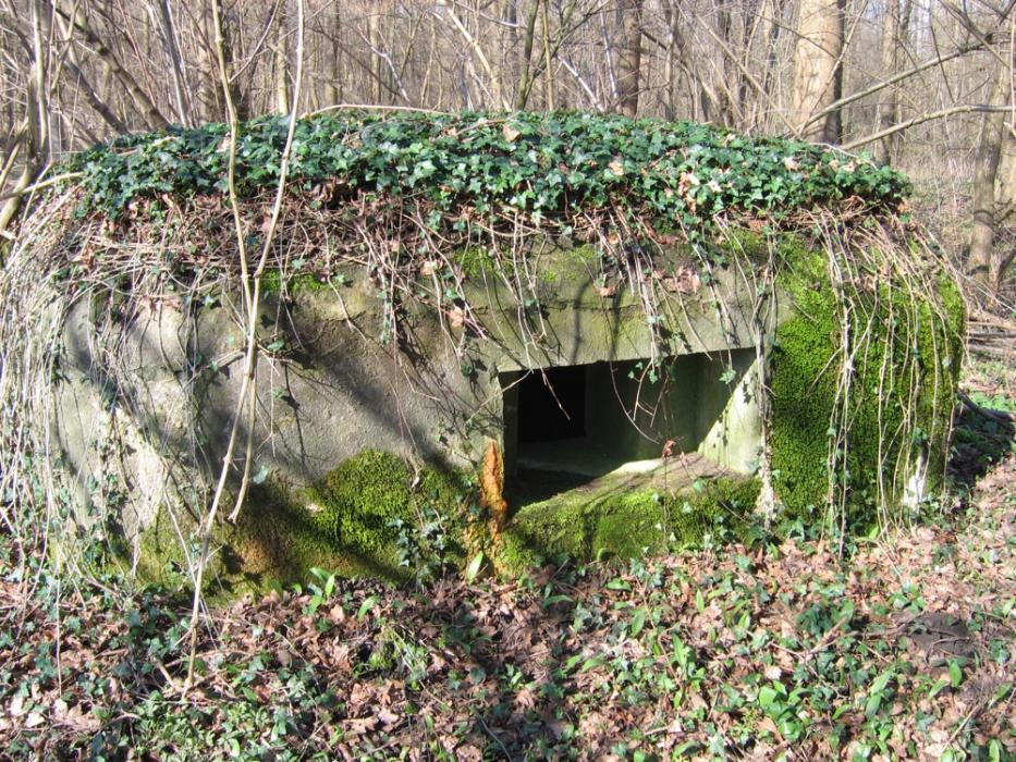 Ligne Maginot - RAMELSHAUSEN 3 (Blockhaus pour arme infanterie) - 