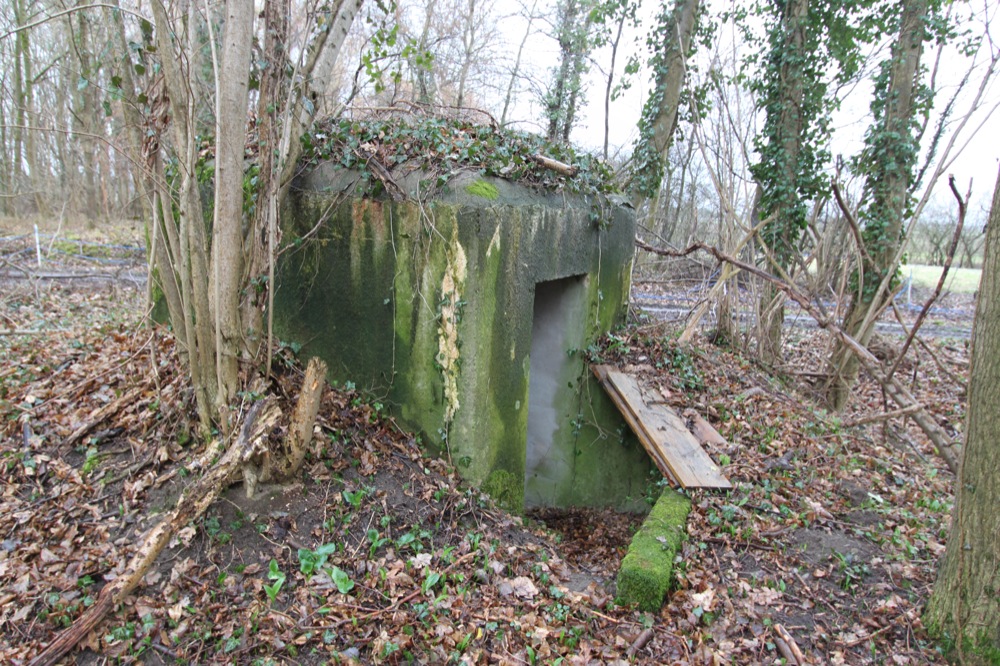 Ligne Maginot - LILIENFELD NORD - (Blockhaus pour arme infanterie) - 