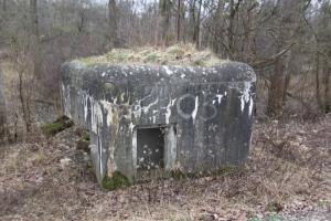 Ligne Maginot - FAHRKOPF Centre Sud (Blockhaus pour arme infanterie) - 