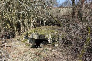 Ligne Maginot - STEINER DEL 3 - (Blockhaus pour arme infanterie) - Façade Ouest