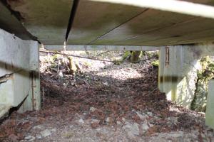 Ligne Maginot - STEINER DEL 3 - (Blockhaus pour arme infanterie) - A gauche le créneau et à droite l'entrée.Le mur du fond est détruit