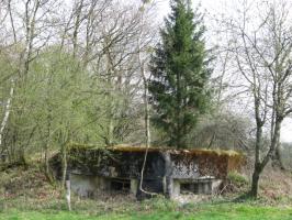 Ligne Maginot - SAUMUEHLE EST - (Blockhaus pour canon) - Façade de tir