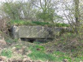 Ligne Maginot - SAUMUEHLE OUEST - (Blockhaus pour arme infanterie) - 