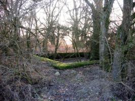 Ligne Maginot - Vue générale - 