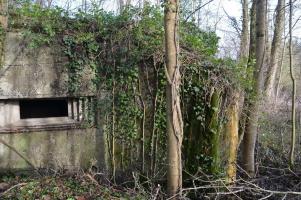 Ligne Maginot - HUTTINGUE OUEST 2 - (Blockhaus pour canon) - Créneau du canon