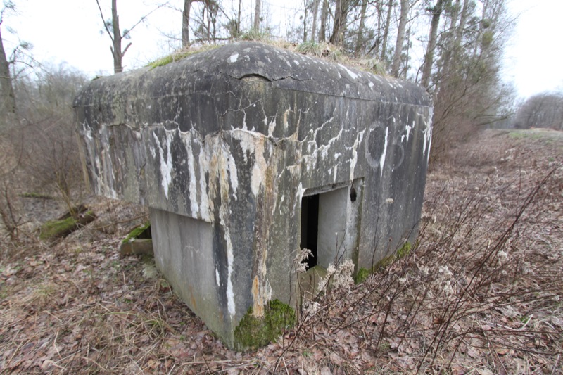 Ligne Maginot - FAHRKOPF Centre Sud (Blockhaus pour arme infanterie) - 