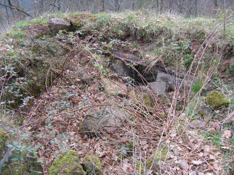 Ligne Maginot - ROTHENBOURG CHATEAU (Observatoire d'infanterie) - L'observatoire
