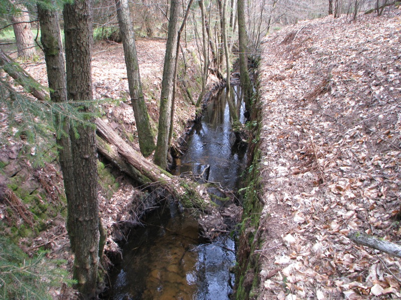 Ligne Maginot - WOLFSREDGEN ( FOSSE ANTICHARS ) - A droite, le talus de la casemate, la cloche dominant le fossé à quelques dizaine de mètres