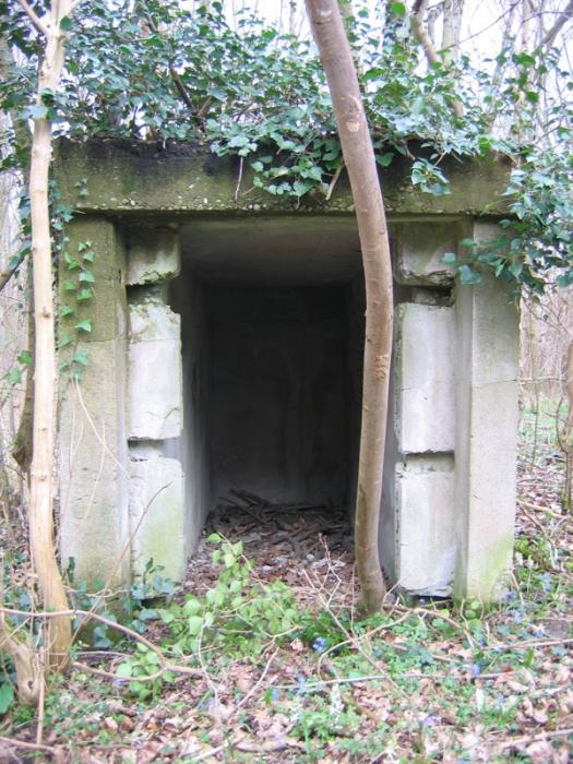 Ligne Maginot - NIEDERWALD - (Position d'artillerie préparée) - 