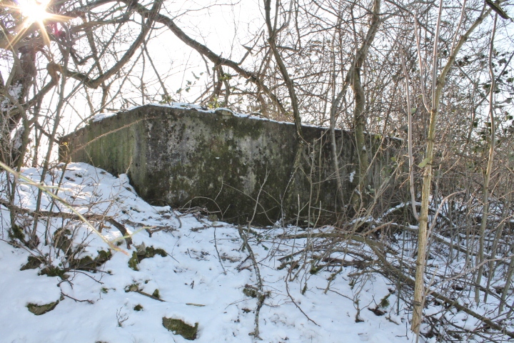 Ligne Maginot - KALKOFEN 10 - (Observatoire d'infanterie) - Vue générale