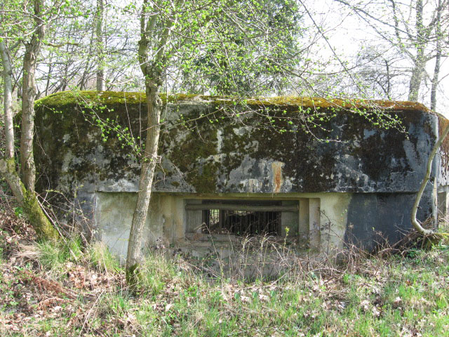 Ligne Maginot - SAUMUEHLE EST - (Blockhaus pour canon) - Créneau pour canon antichar