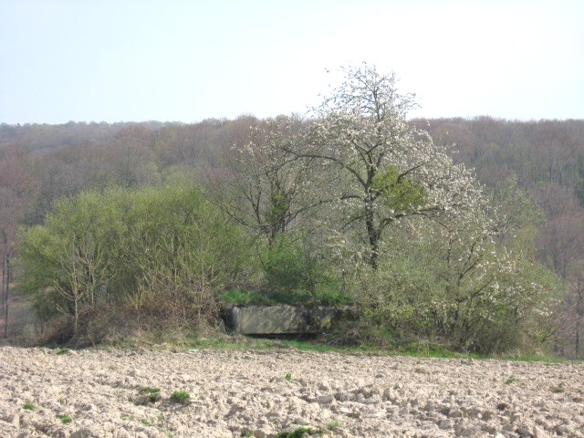 Ligne Maginot - SAUMUEHLE OUEST - (Blockhaus pour arme infanterie) - Vue générale