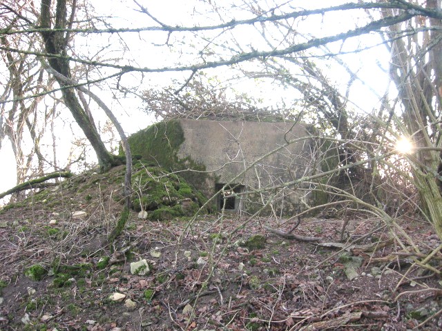 Ligne Maginot - KALKOFEN 7 - (Blockhaus pour arme infanterie) - Vue générale