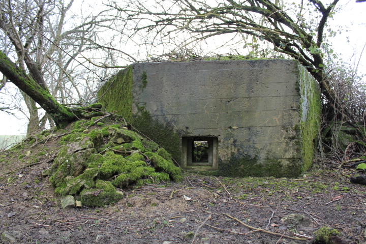 Ligne Maginot - KALKOFEN 7 - (Blockhaus pour arme infanterie) - Façade Est