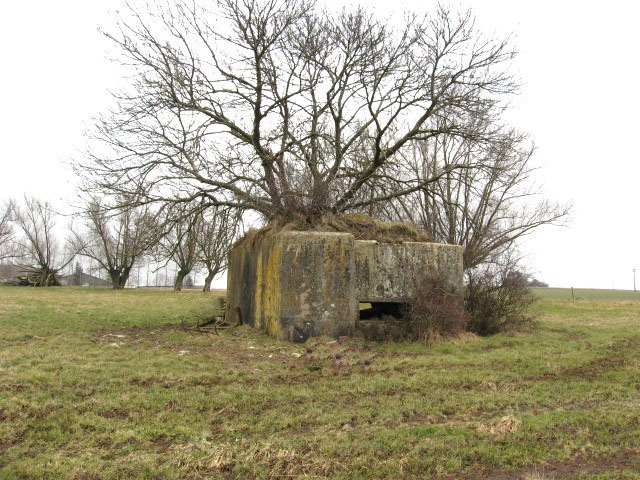 Ligne Maginot - Vue générale - 