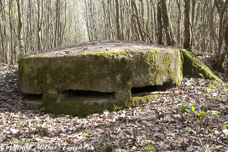 Ligne Maginot - Observatoire UNTERE TRAUSCH - 