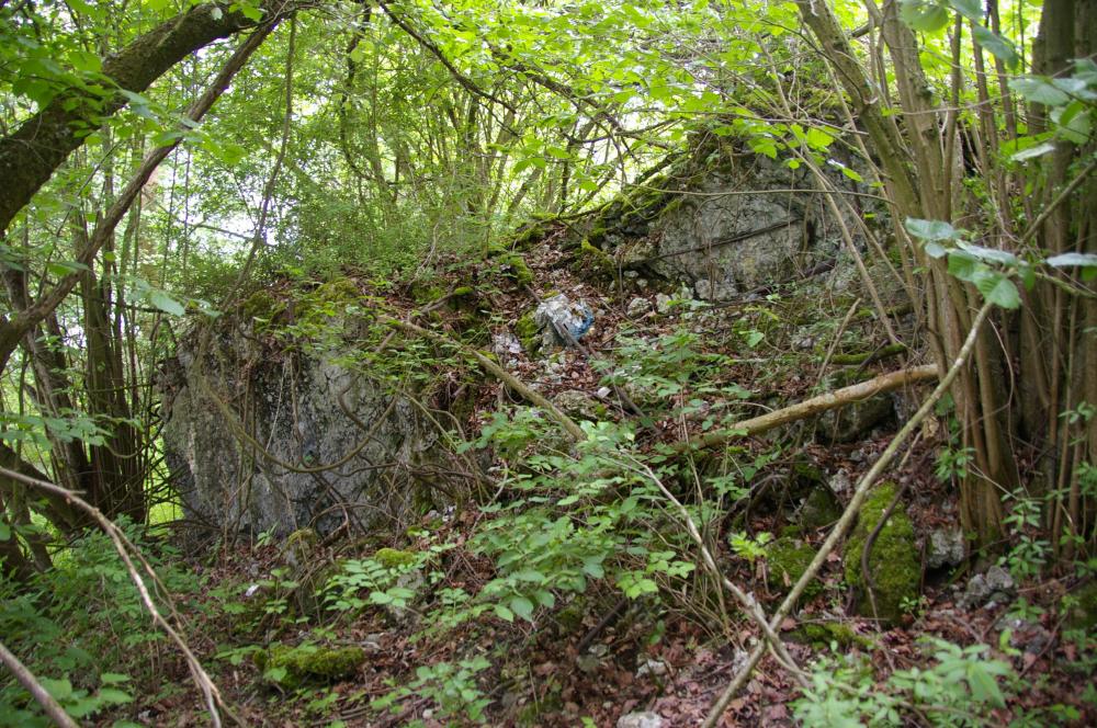 Ligne Maginot - 13B/1 - AMEISENGRUND - (Casemate d'infanterie - Double) - Abris détruit