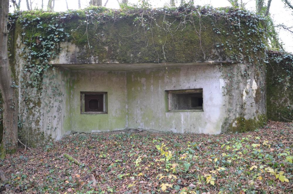 Ligne Maginot - PA DU CARREFOUR 252-4 - (Blockhaus pour arme infanterie) - Vue sur les créneaux de tir avec la visière.