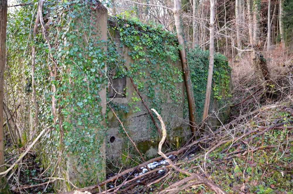 Ligne Maginot - HUTTINGUE OUEST 2 - (Blockhaus pour canon) - Vue sur la façade Est avec son créneau FM et après les arbres en V l'entrée des hommes.