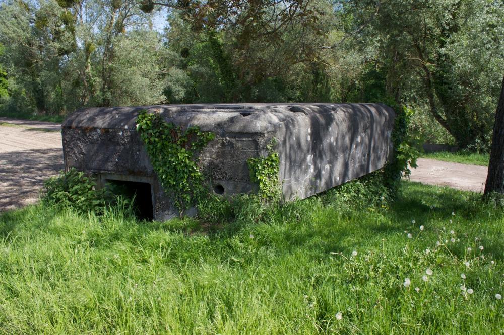 Ligne Maginot - IM WOOG - (Blockhaus pour arme infanterie) - Entrée du blockhaus au nord