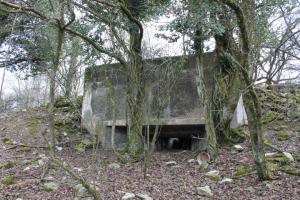 Ligne Maginot - FUERST 4 - (Blockhaus pour canon) - Vue générale