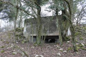 Ligne Maginot - FUERST 4 - (Blockhaus pour canon) - Vue générale