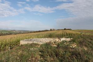 Ligne Maginot - SCHITTEFELD 6 - (Blockhaus pour arme infanterie) - Vue générale