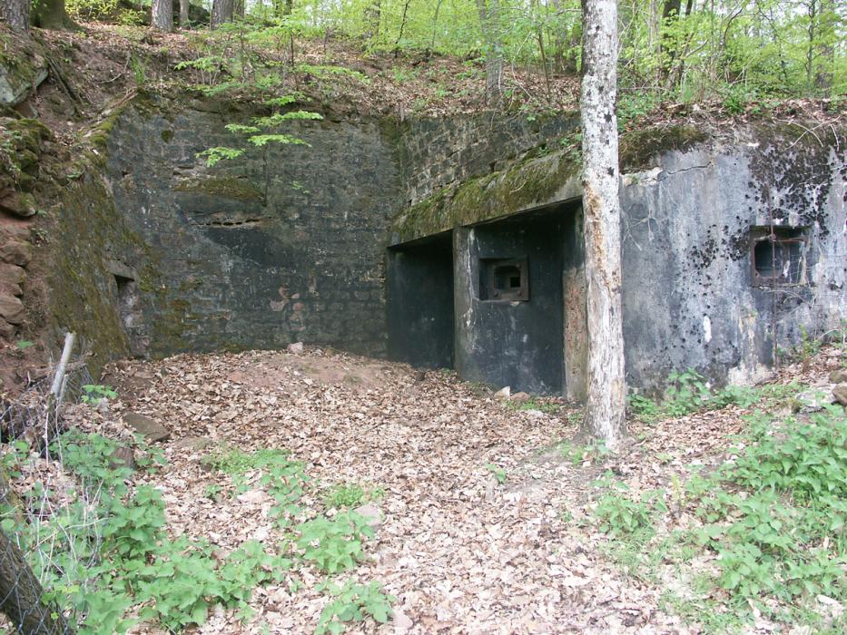 Ligne Maginot - ERLENMOOS Ouest (Avant Poste) (Blockhaus pour canon) - Vue arrière