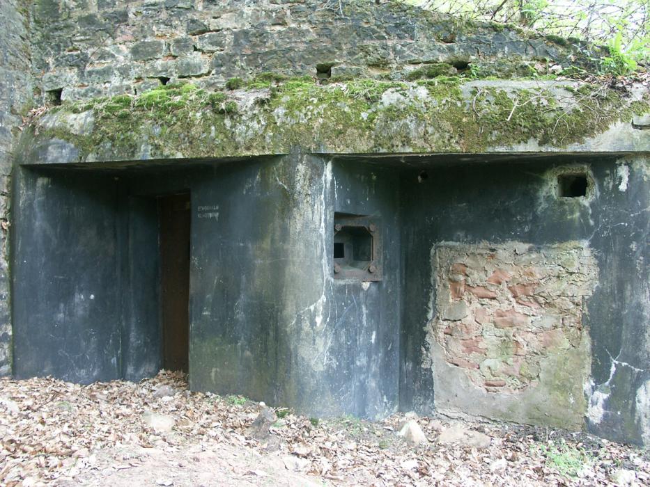 Ligne Maginot - ERLENMOOS Ouest (Avant Poste) (Blockhaus pour canon) - L'entrée pour la pièce est murée.