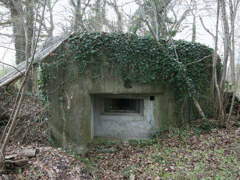 Ligne Maginot - EICHELSCHOLLEN - (Casemate d'infanterie - Simple) - Façade Nord