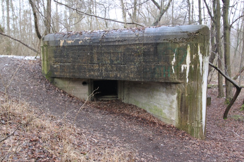 Ligne Maginot - 34 - THALERKOPF - (Casemate d'infanterie - Simple) - L'embrasure sud