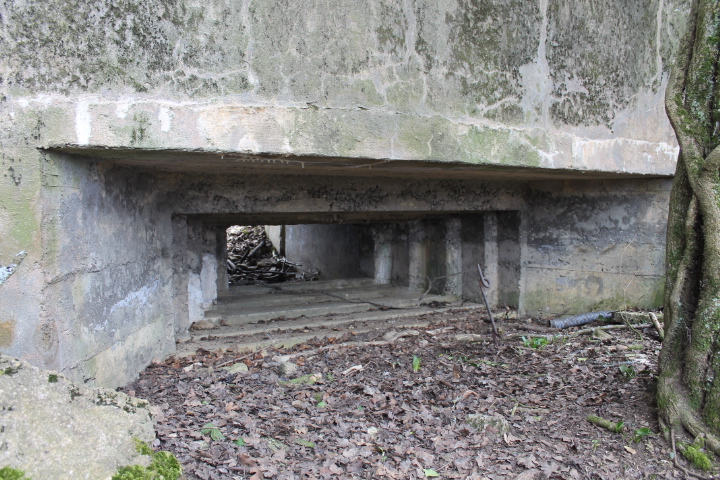 Ligne Maginot - FUERST 4 - (Blockhaus pour canon) - Créneau du canon
