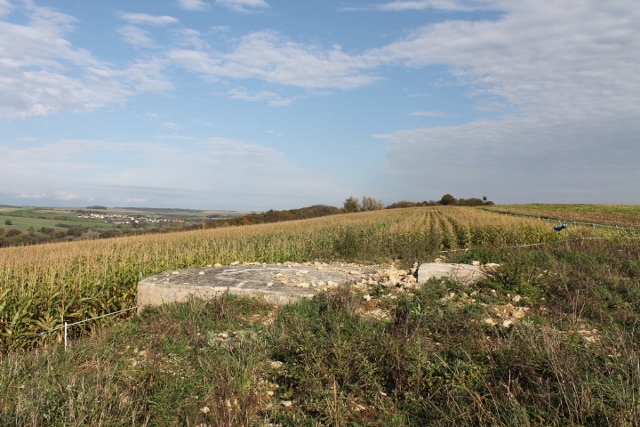 Ligne Maginot - SCHITTEFELD 6 - (Blockhaus pour arme infanterie) - Vue générale