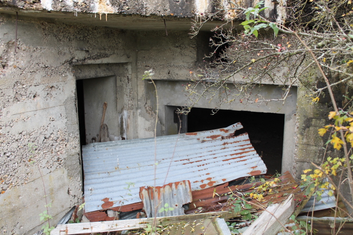 Ligne Maginot - MC30 - STG C - (Casemate d'infanterie - double) - Les entrées hommes et canons