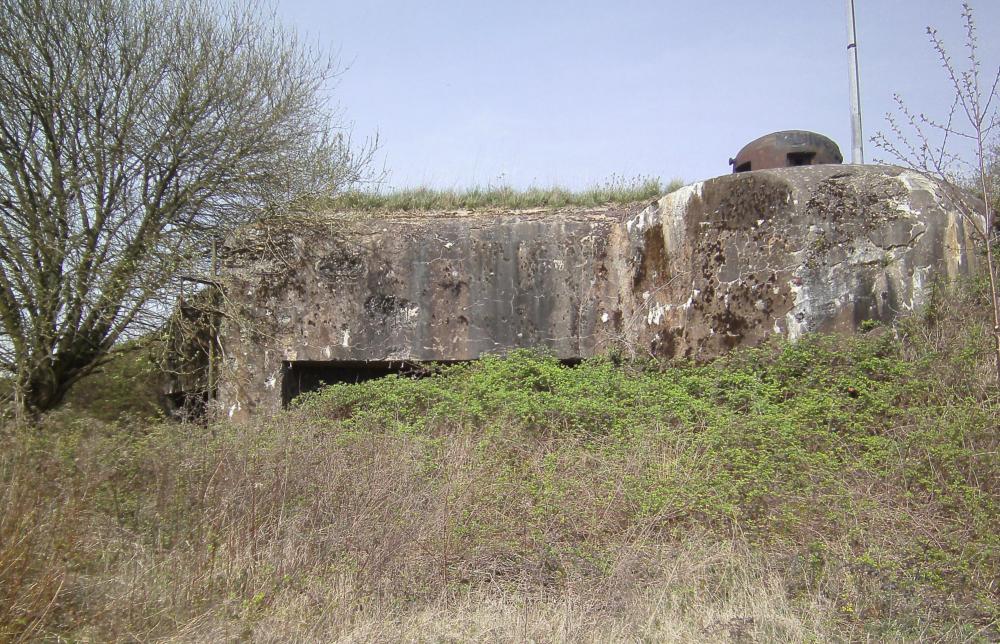 Ligne Maginot - BOIS DE HOFFEN EST - O3 - (Casemate d'infanterie - Simple) - La casemate, disparaissant sous la végétation