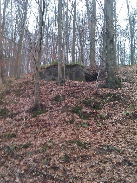 Ligne Maginot - C9 - SAEGEMUHLE - (Blockhaus pour canon) - Le bloc vue depuis le chemin forestier en contrebas