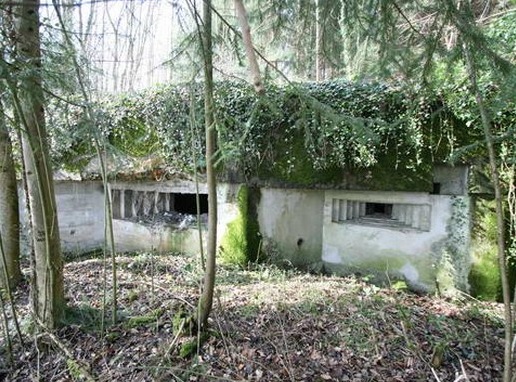 Ligne Maginot - WENTZWILLER 1 - (Blockhaus pour canon) - 