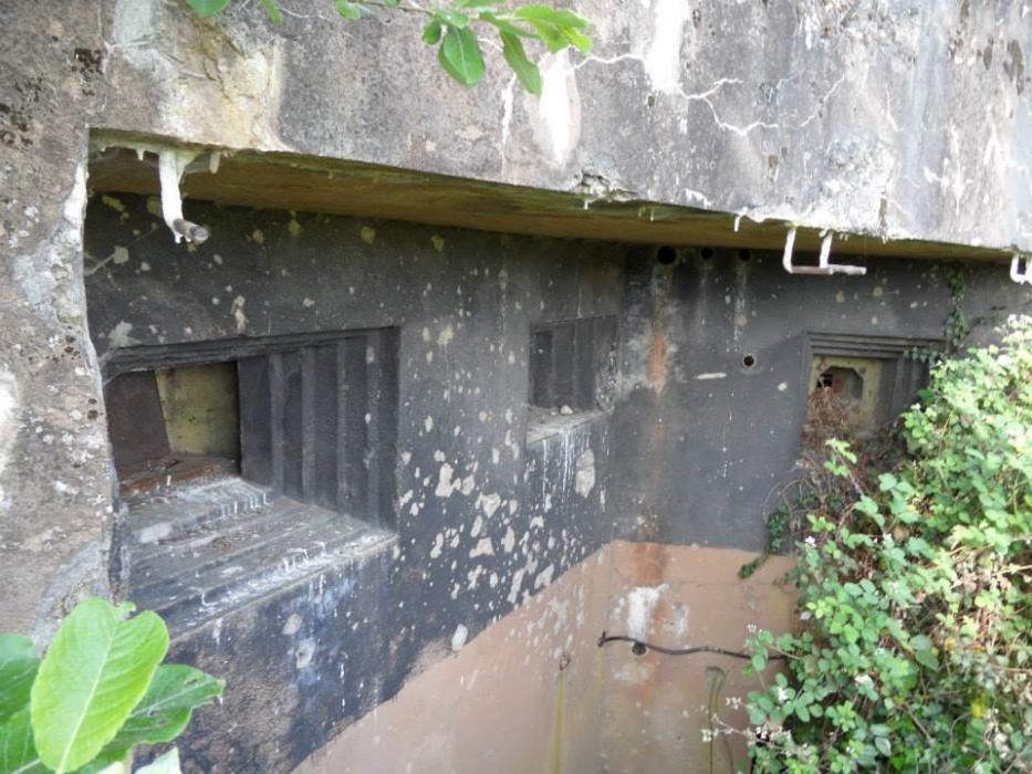 Ligne Maginot - BOIS DE HOFFEN EST - O3 - (Casemate d'infanterie - Simple) - Les créneaux pour jumelage de mitrailleuse ou canon antichar