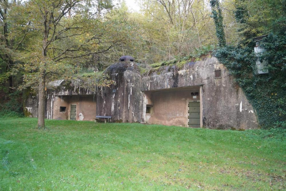 Ligne Maginot - HEIDENBUCKEL - (Abri) - Vue d'ensemble