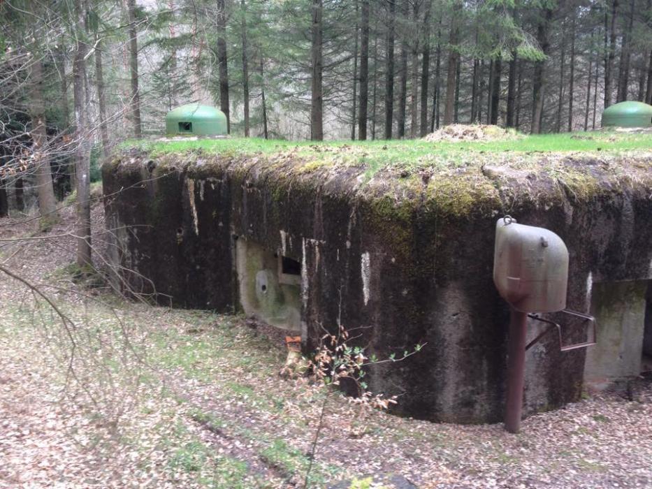 Ligne Maginot - WINECKERTHAL OUEST - (Casemate d'infanterie - Double) - 