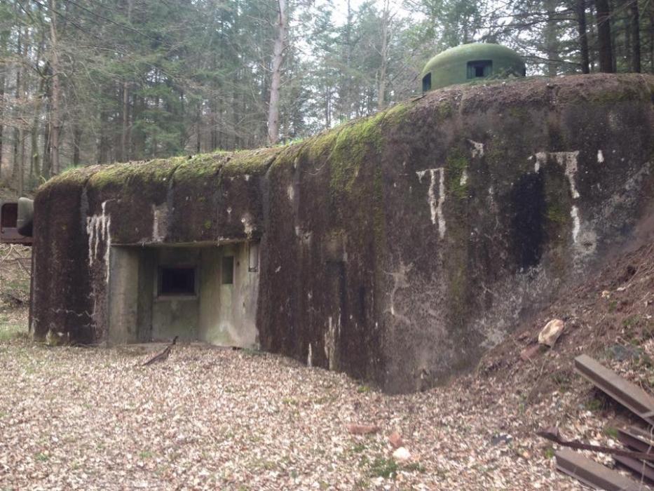 Ligne Maginot - WINECKERTHAL Ouest (Casemate d'infanterie - double) - 