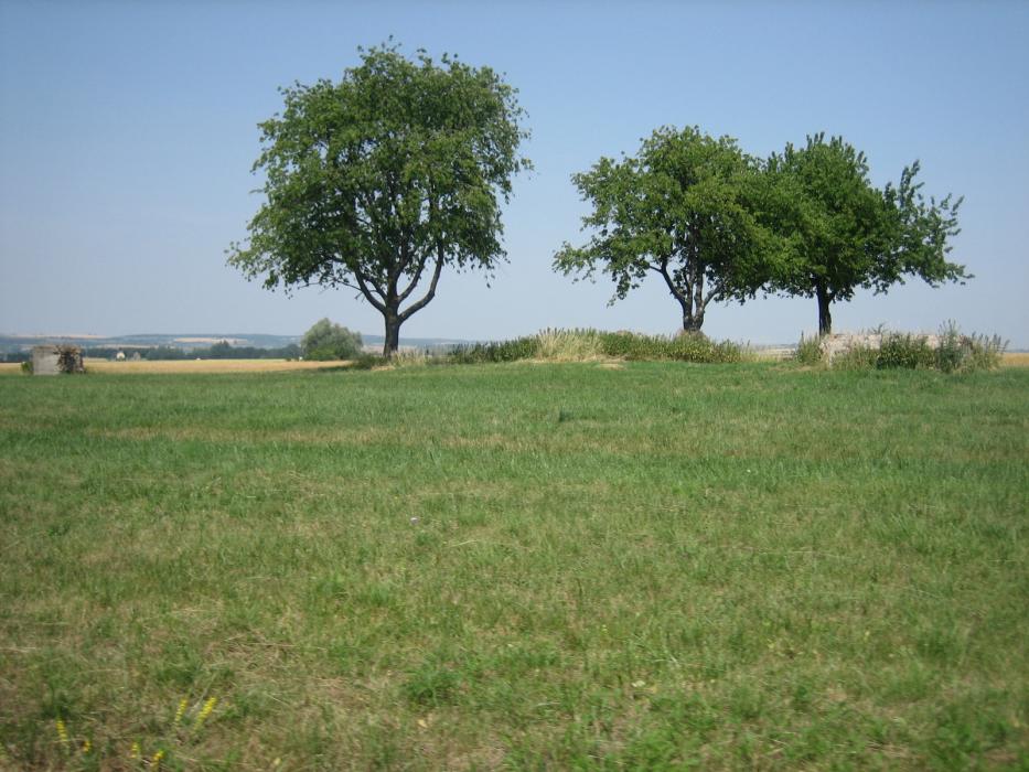 Ligne Maginot - WIESWEILLER WALD - (Blockhaus de type indéterminé) - Le blockhaus en trois parties.
A gauche une partie de murs restée droite, au centre dans les broussailles, des pans de murs en vrac et à droite la dalle de toiture.