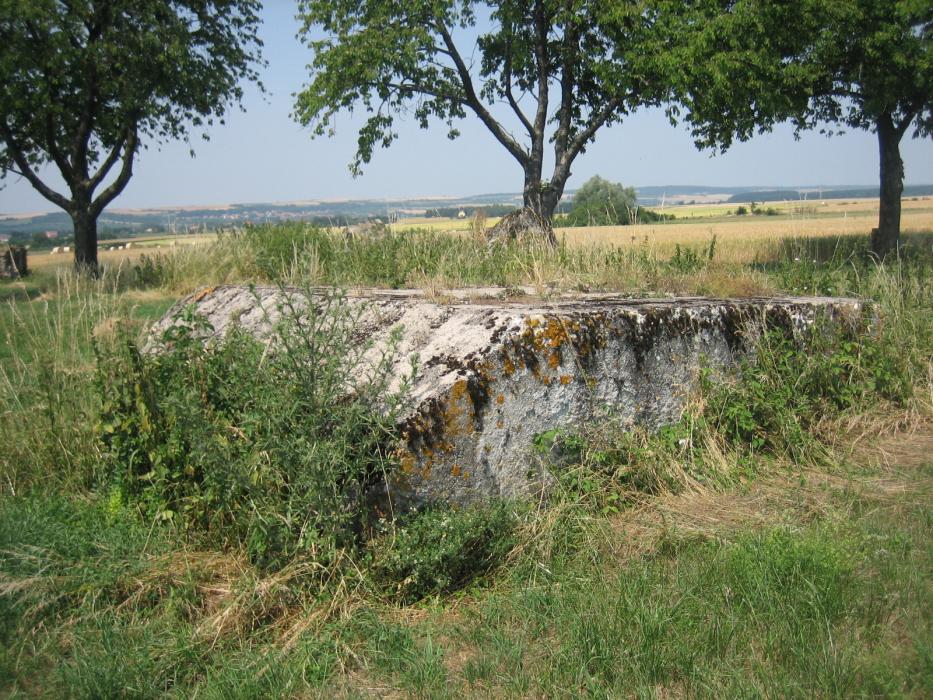 Ligne Maginot - WIESWEILLER WALD - (Blockhaus de type indéterminé) - La dalle de toiture.