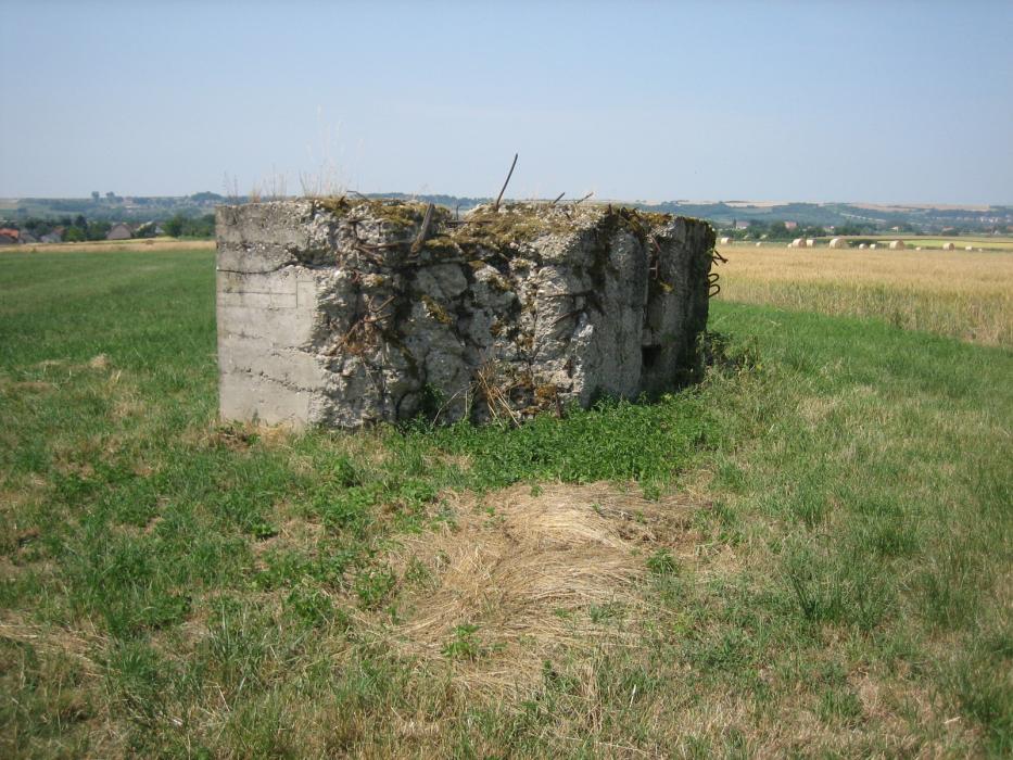 Ligne Maginot - WIESWEILLER WALD - (Blockhaus de type indéterminé) - Le pan de mur retombé droit