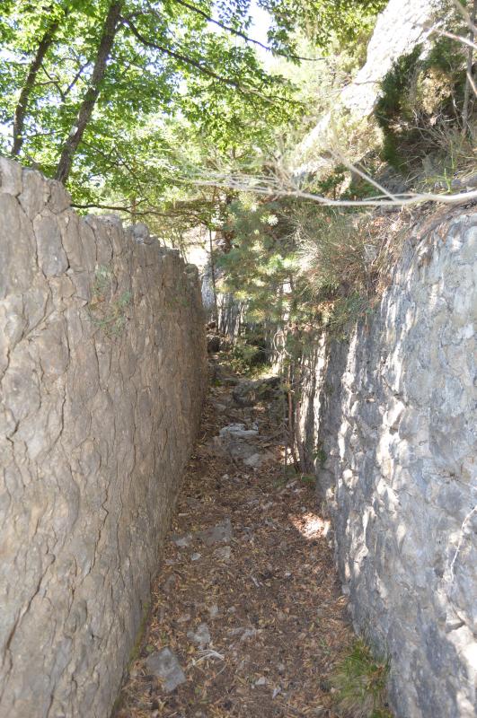 Ligne Maginot - BAISSE DE SCUVION 1 - (Blockhaus pour arme infanterie) - 