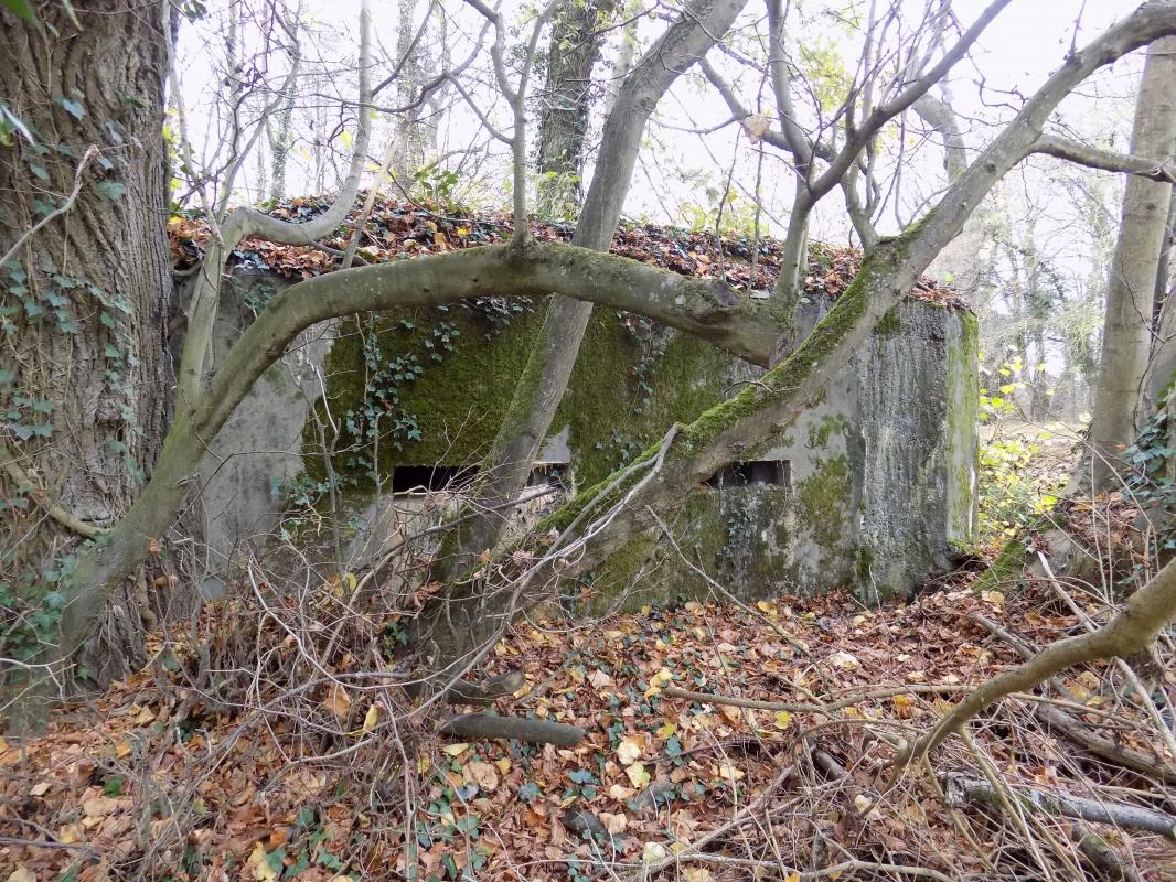 Ligne Maginot - R4 - CHATEAU DE REMILLY - (Blockhaus pour arme infanterie) - Façade, coté droit