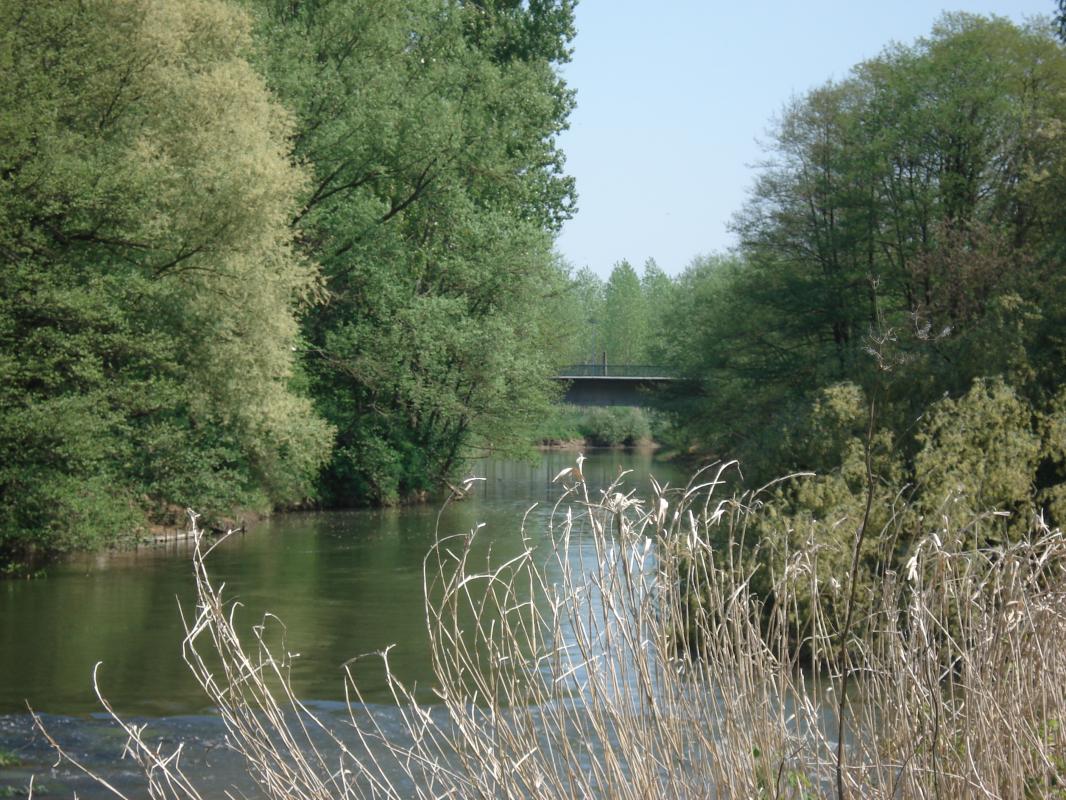 Ligne Maginot - 15LM -DMP Brevilly - Vue du pont reconstruit prise depuis le blockhaus A90 Brevilly Ouest