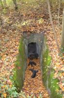 Ligne Maginot - OTTMARSHEIM SUD 3 - (Blockhaus pour arme infanterie) - Première entrée